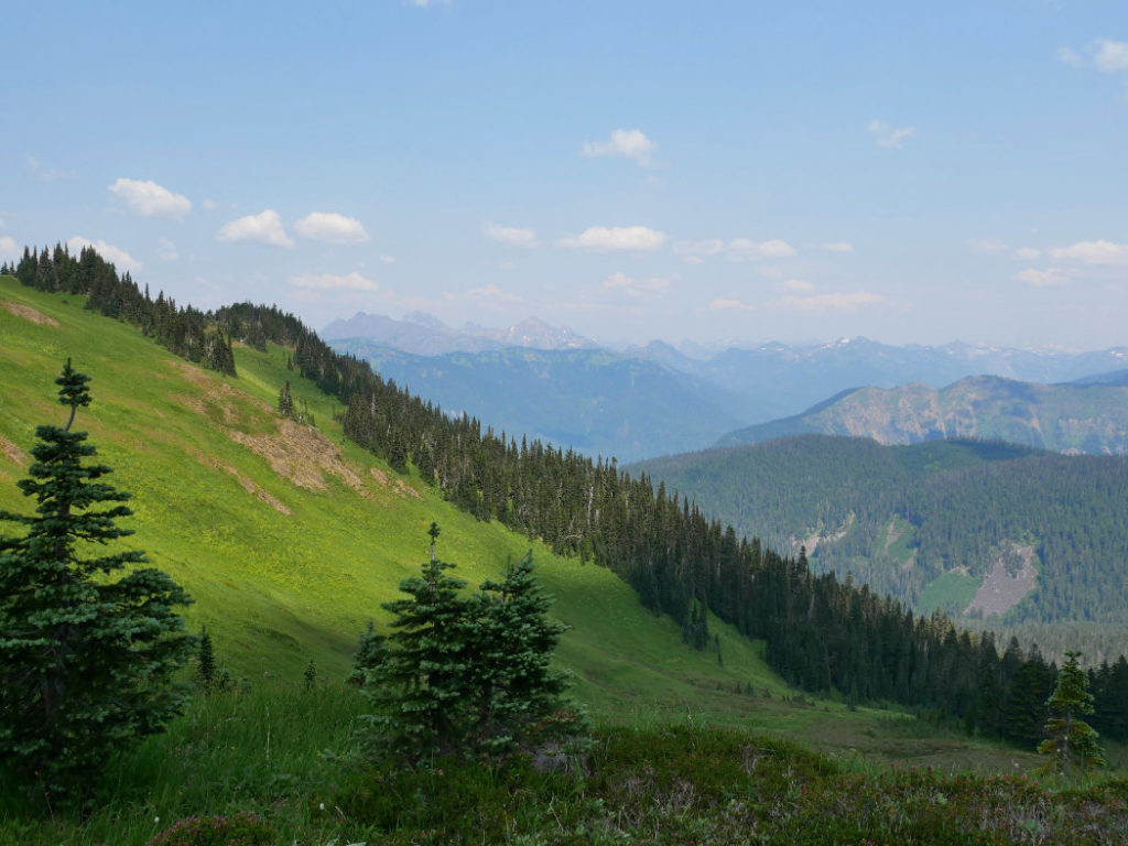 Green meadows and mountains