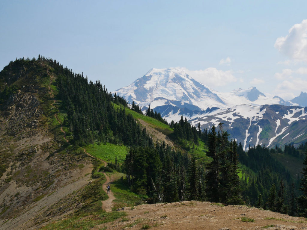 Mount Baker from the Skyline Divide Trail
