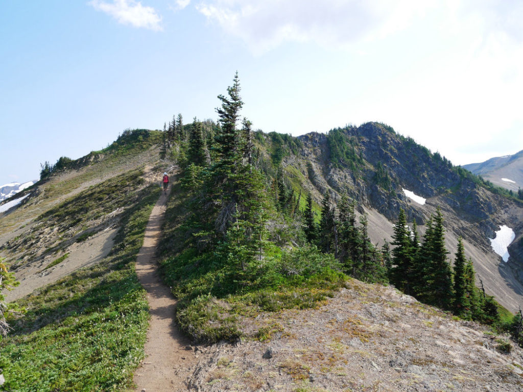 Skyline Divide trail