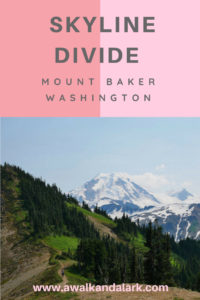 Skyline Divide Trail - Mount Baker view, Washington