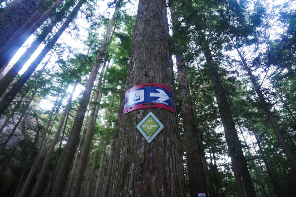 Start of the Sea to Summit trail
