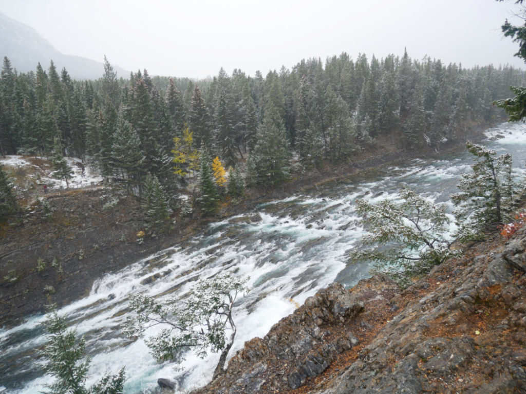 Bow River looking choppy!