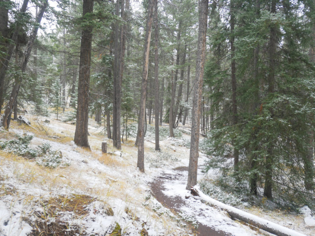 Start of the trail from Surprise corner