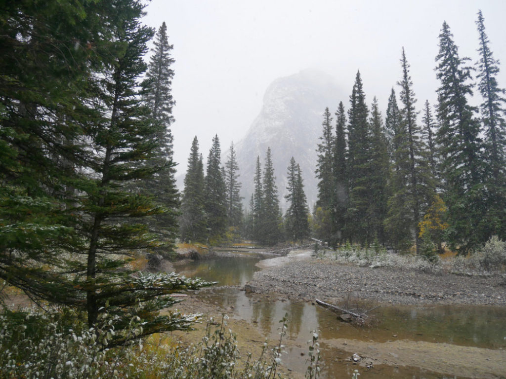 Views along Bow river