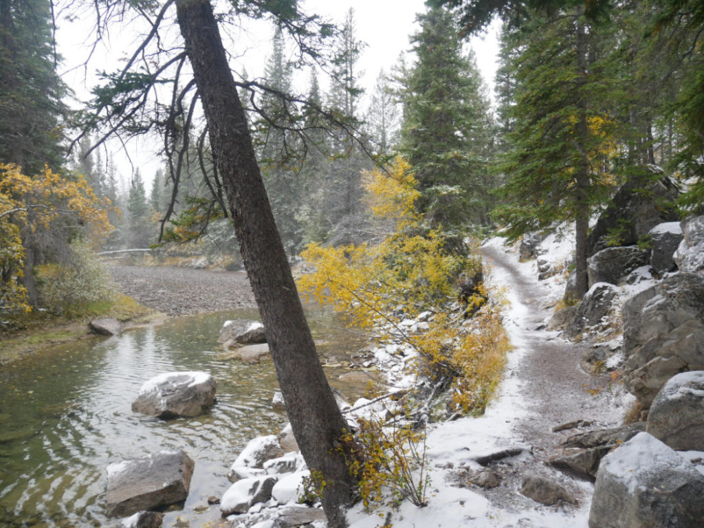A calm offshoot of the Bow river