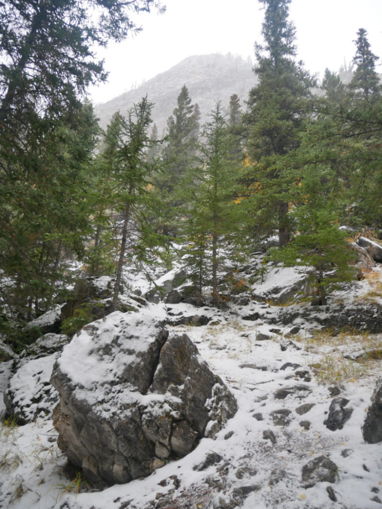 The path behind tunnel mountain