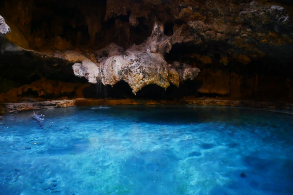 Banff Cave and Basic National Monument hot spring