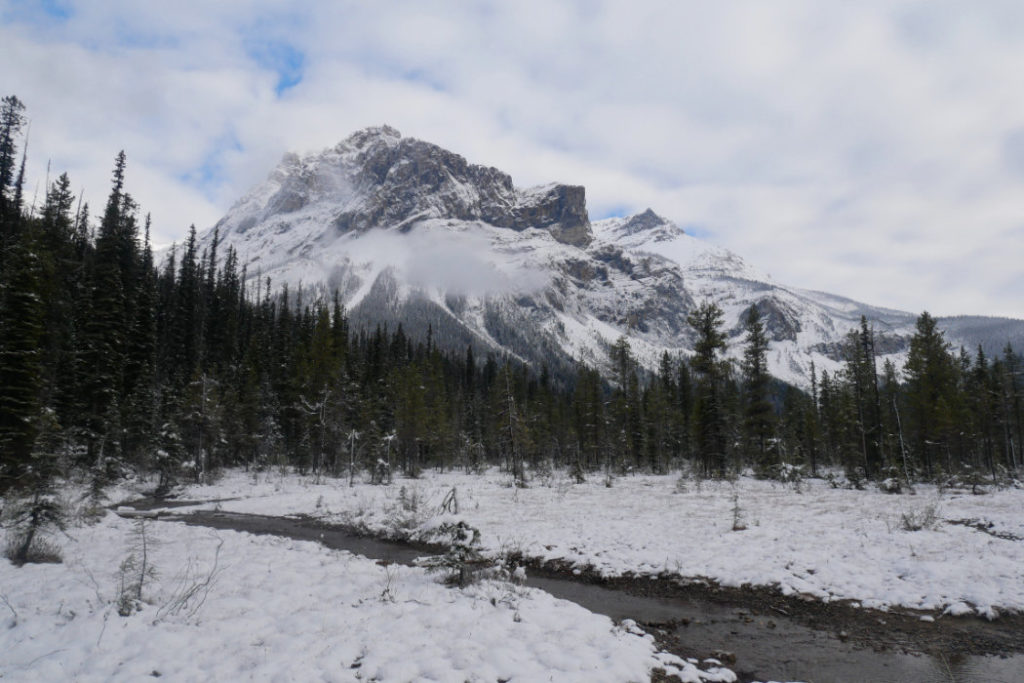 The end of the lake, looking up at the President Range