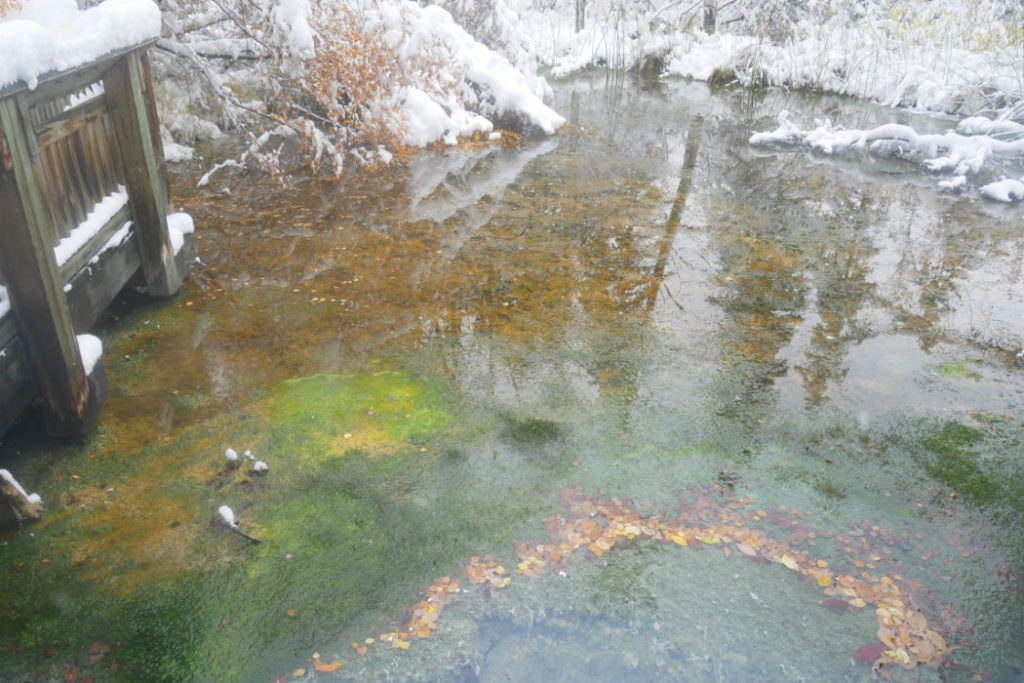 Snailland hot spring