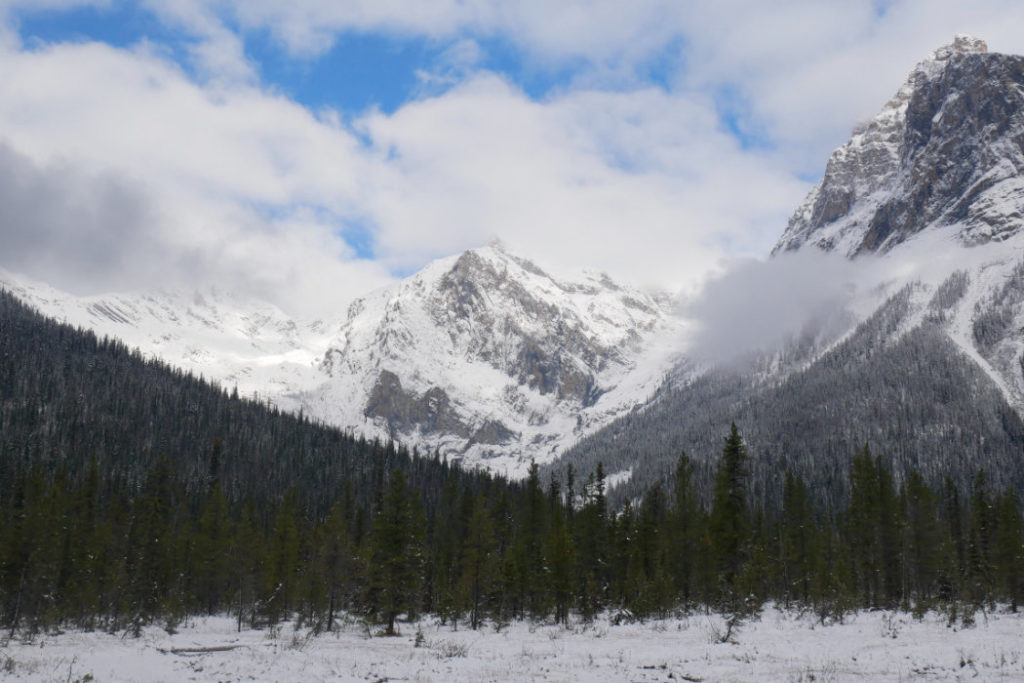 Mount Marpole from Emerald Lake
