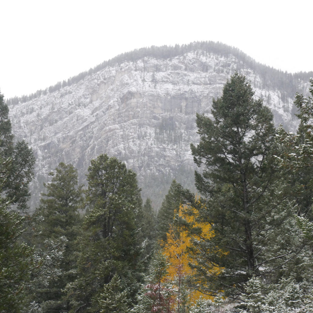 The cliffs of tunnel mountain