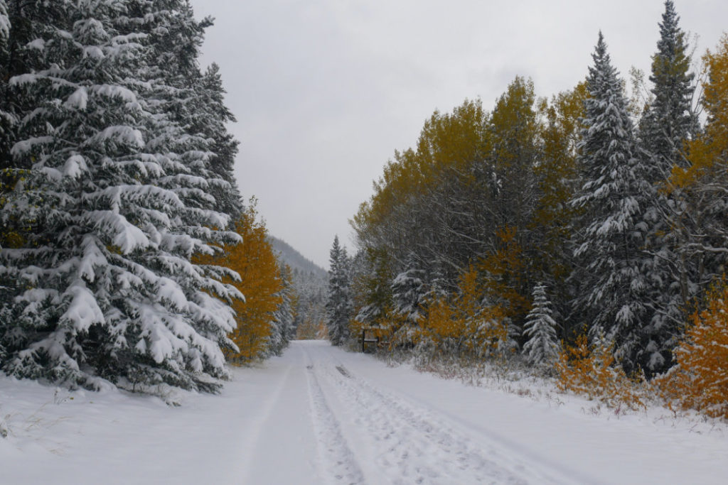Walking, just outside Banff