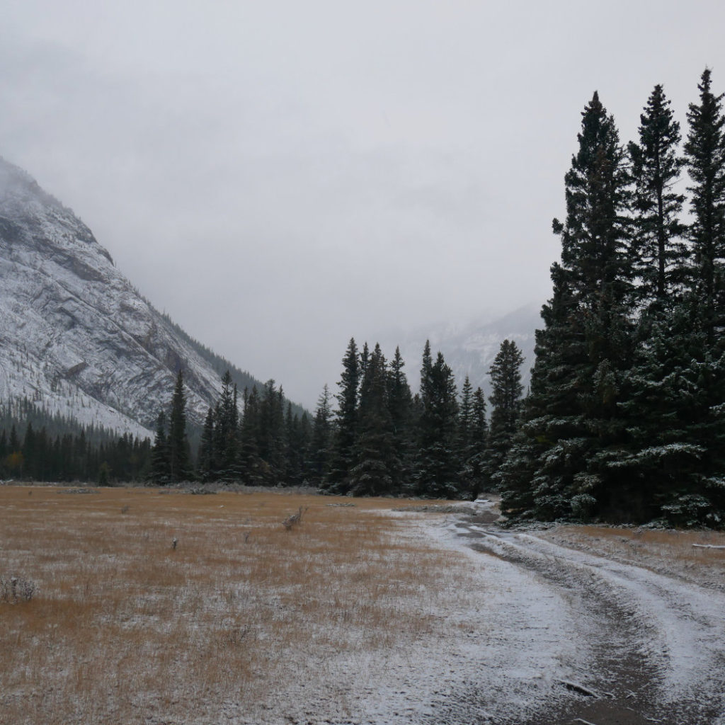The path back with Mount Rundle