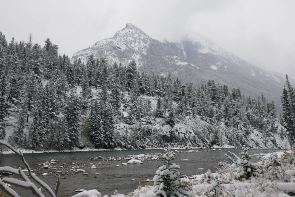 Bow river