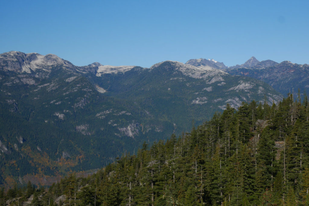 View from the top