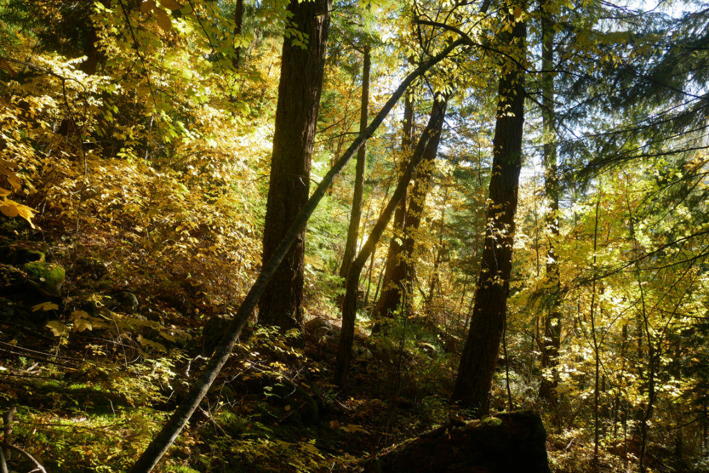 Amazing autumn weather
