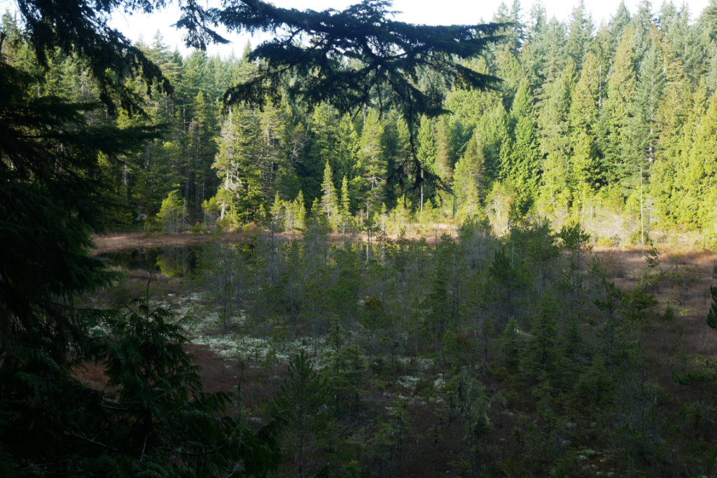 Triangle lake