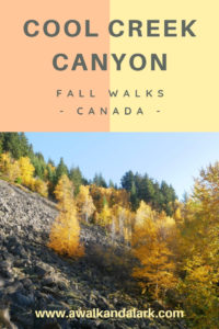 Cool Creek Canyon autumnal slopes