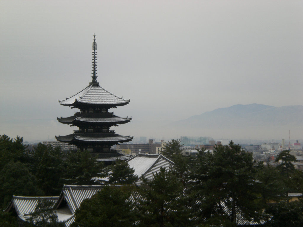 Kofukuji from Nara Kencho