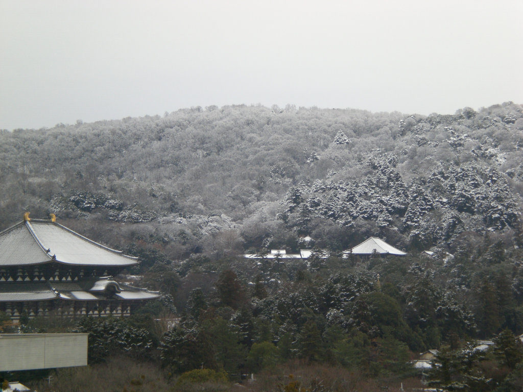 Todaiji from Nara Kencho