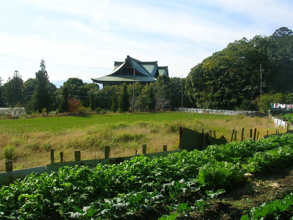 Farms and beautiful buildings (Tenrikyoshikishimadai Church)