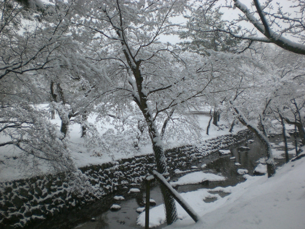 Nara koen in the snow