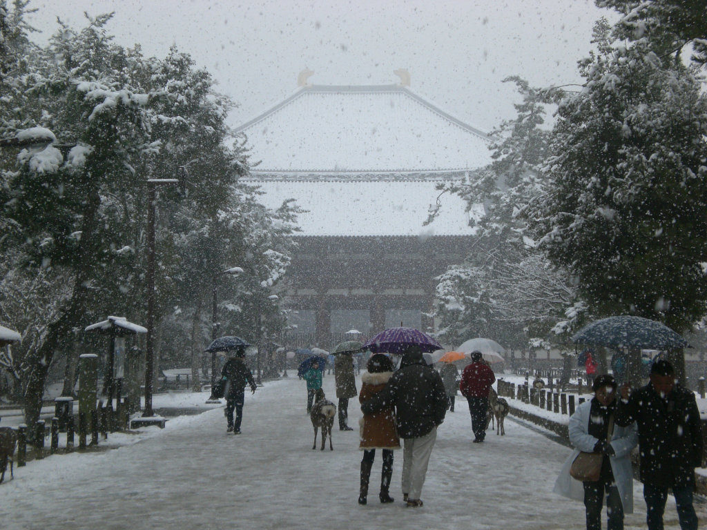 Todaiji in the snow