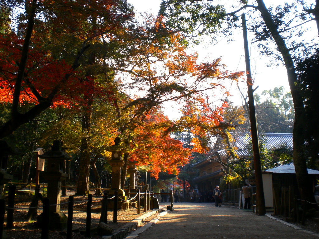 Path down from Kasuga Taisha
