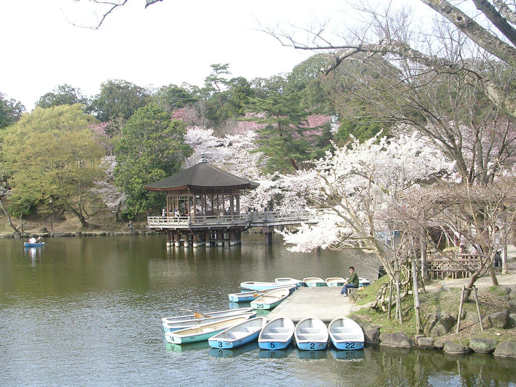 Araike pond and boats