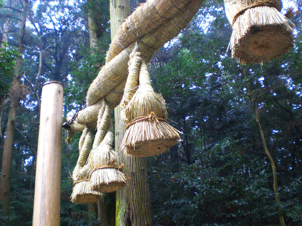 Interesting torii gates