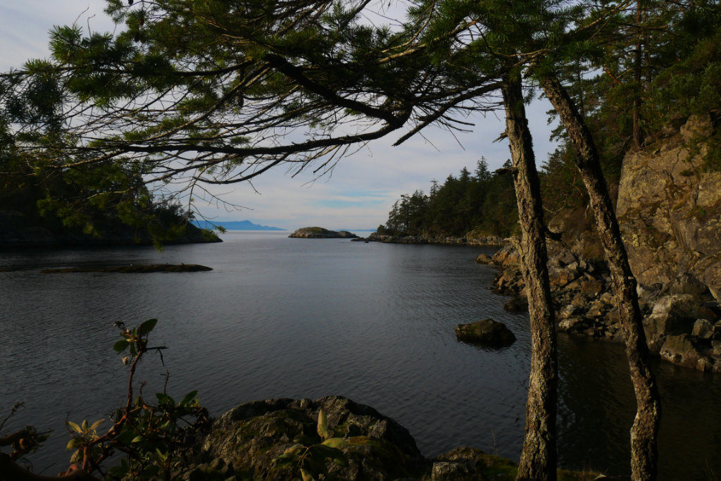 Rocky beach on the trail