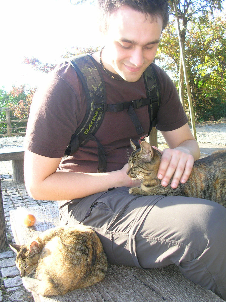 Cats near the sumo shrine -Marc