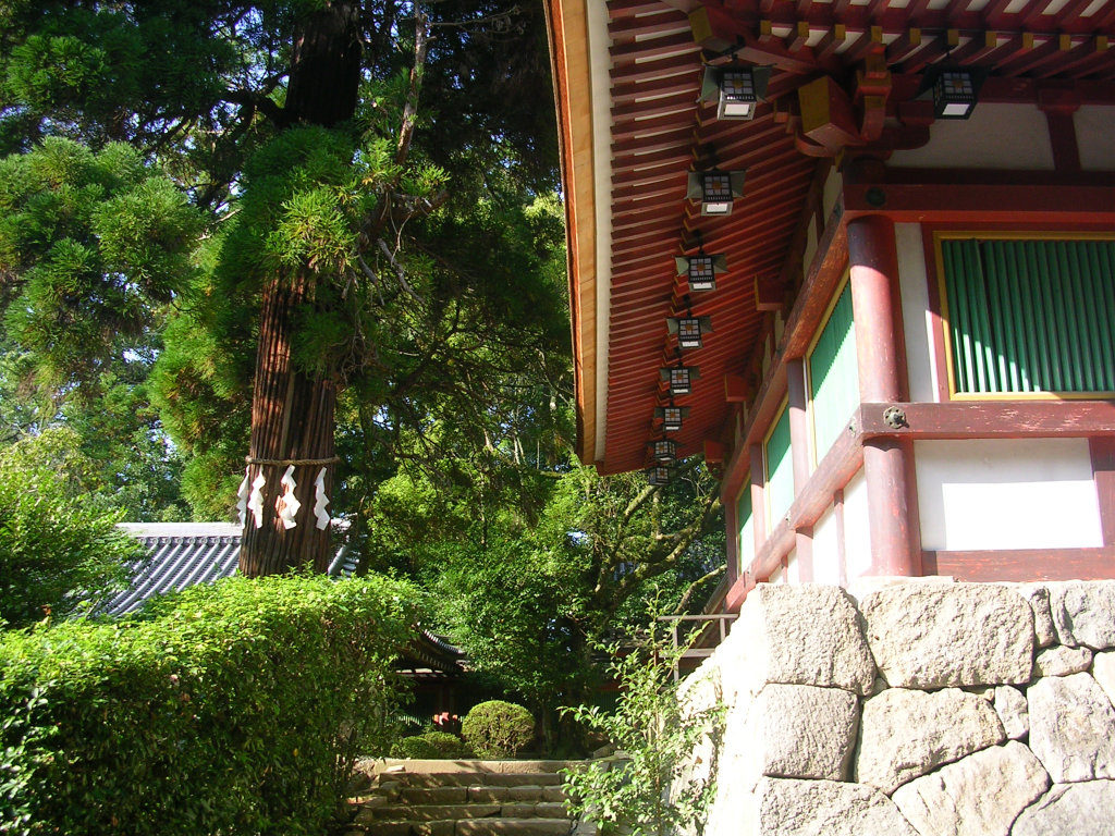 Isonokami jingu views
