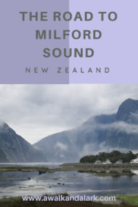 The road to Milford Sound - Foreshore 