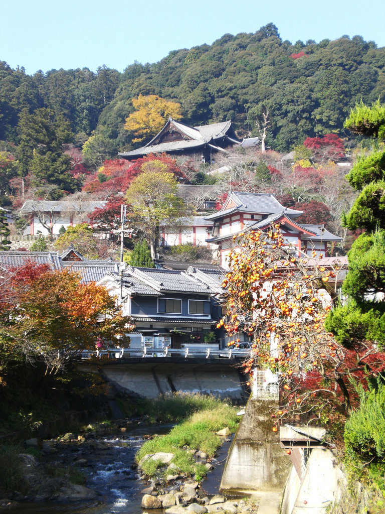 First views of Hasedera temple