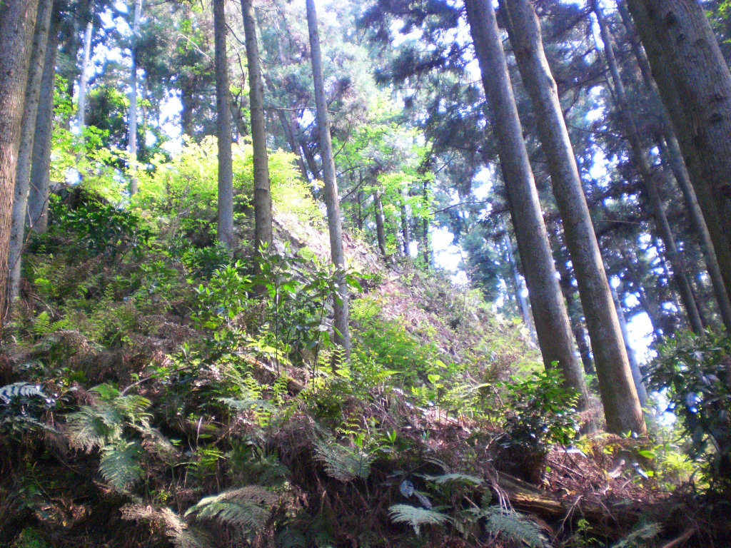Heading up Takatori Mountain