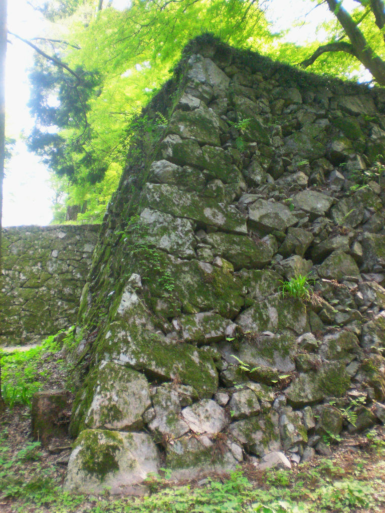 Takatori Castle ruins