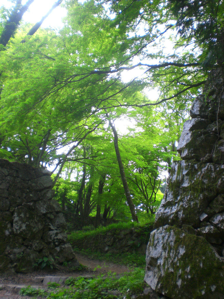 Takatori Castle ruins