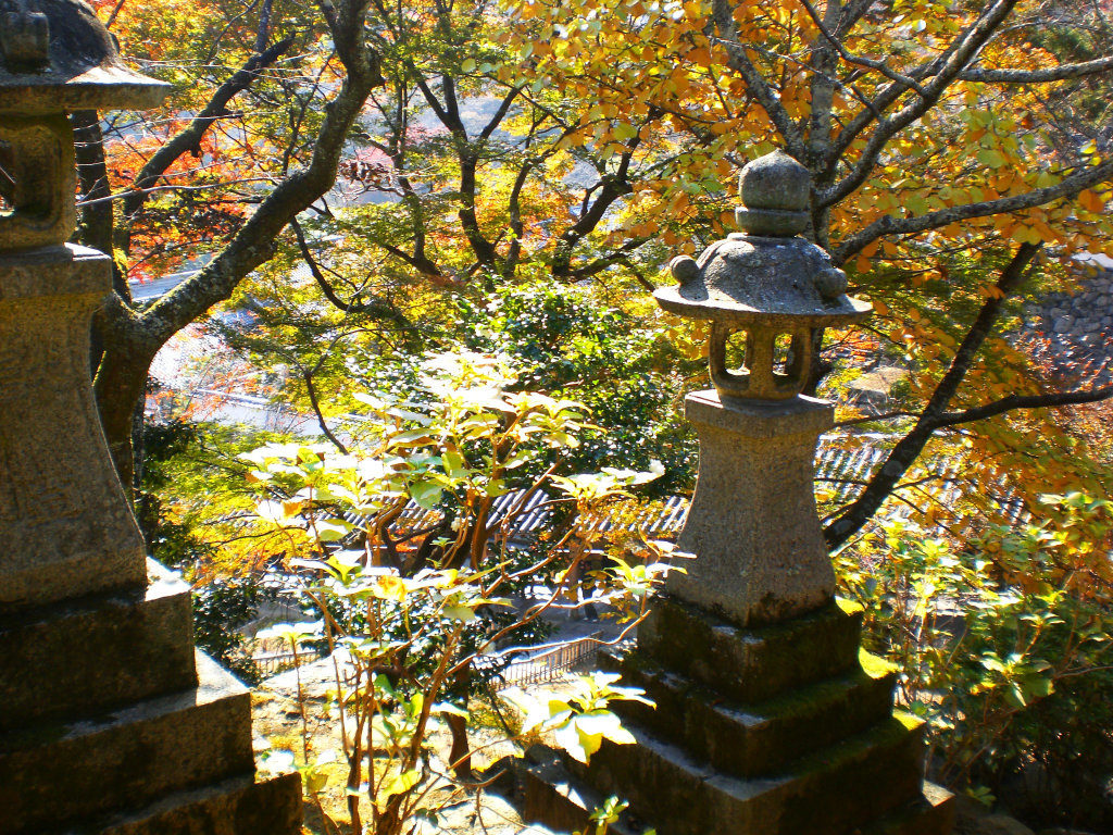 So many pretty leaves in Hasedera