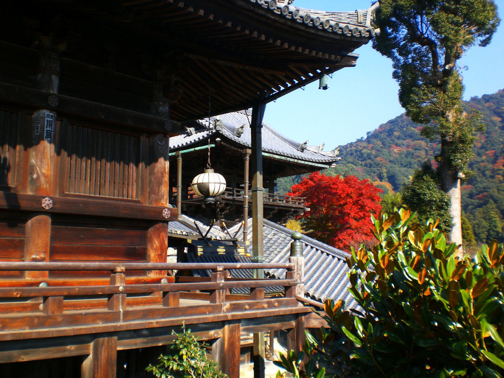 Views from the Hasedera Hondo