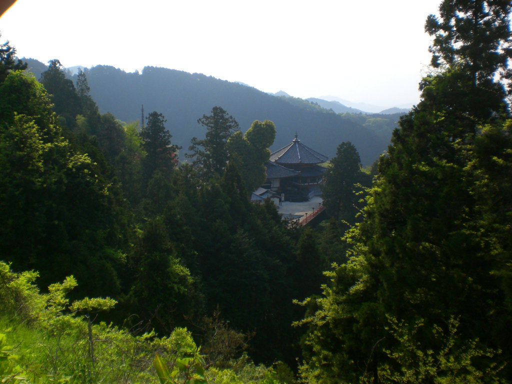 First view of Tsubosaka Temple