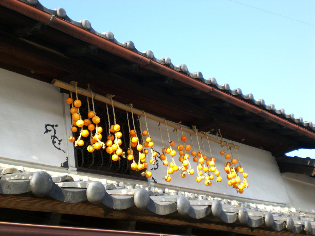 Kaki hanging on the yashiki