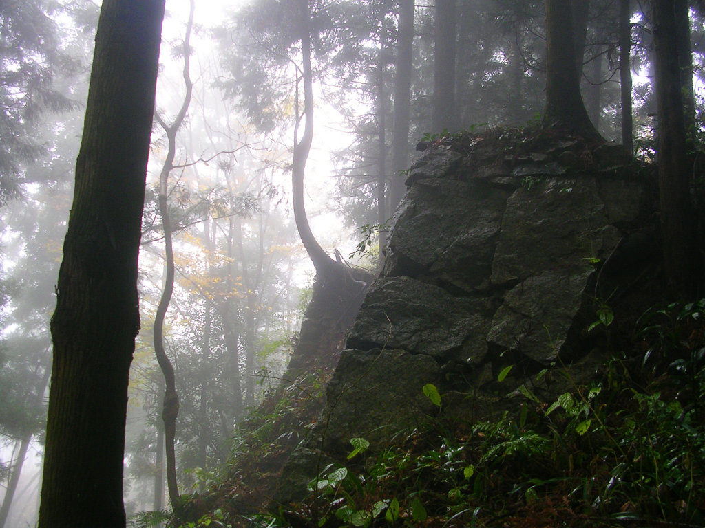 Takatori Castle in the mist