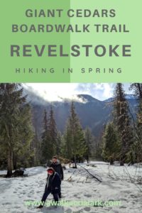 Giant Cedars Boadwalk trail - Revelstoke in the springtime