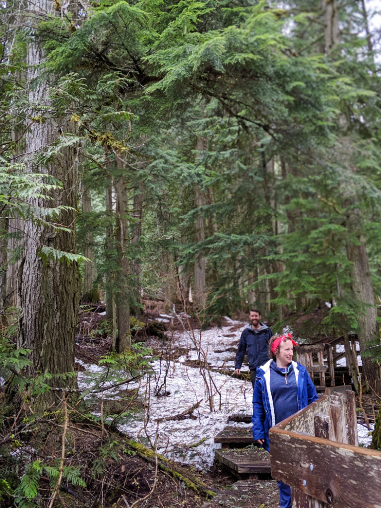 Giant Cedars Boardwalk Trail
