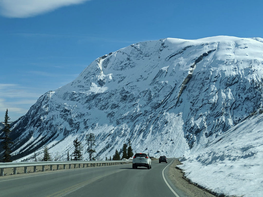 Parker Ridge near Wilcox pass