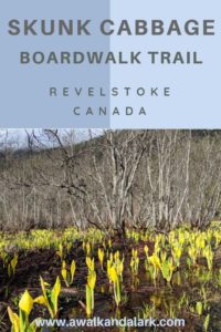 Skunk Cabbage Boardwalk trail - great for birds and flowers