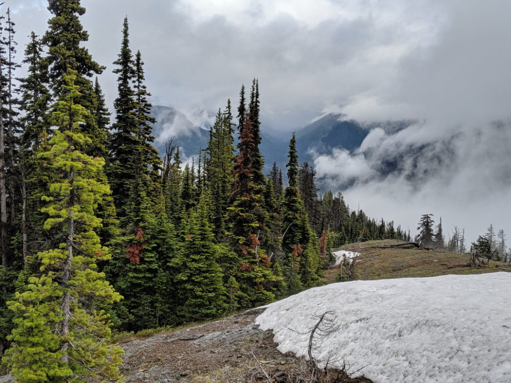 Snow, mist and views from the Dry Ridge Trail