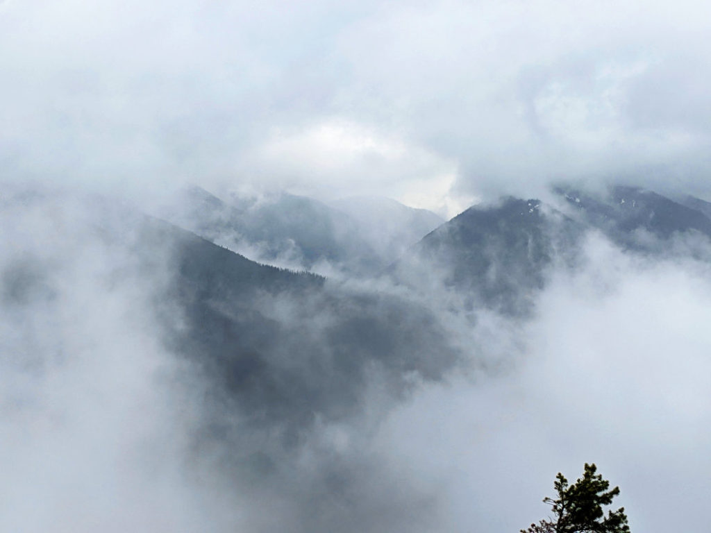 Peaks through the mist on the Dry Ridge Trail