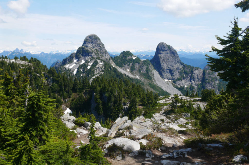 The Lions from Unnecessary Mountain